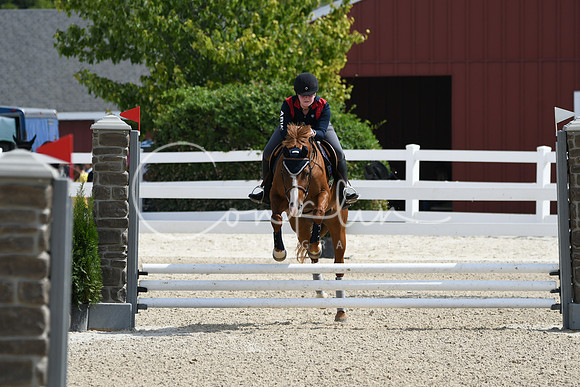 HSM_2161