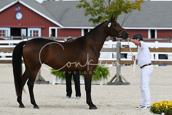 HSM_4897