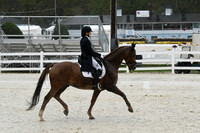 HSM_0941