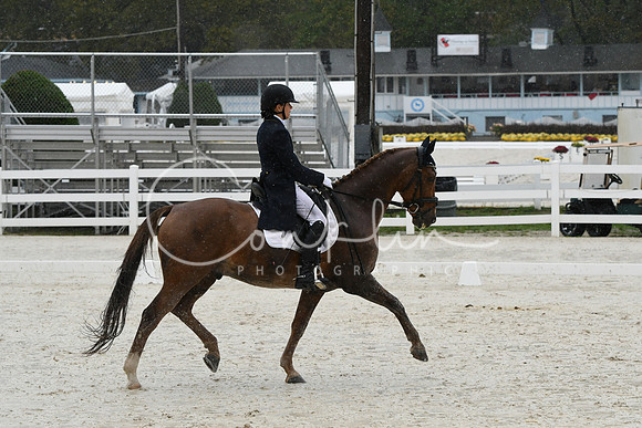 HSM_0941