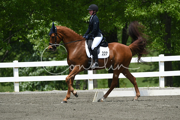 HSM_0273