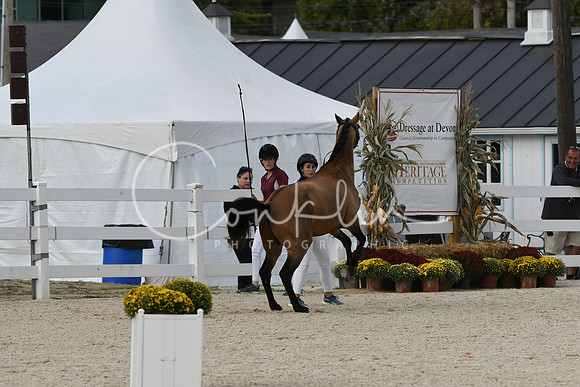 HSM_5408