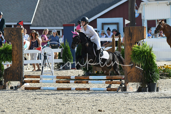 HSM_1454