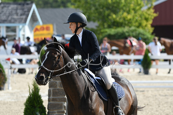 HSM_1773