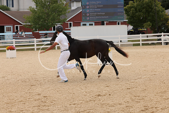 HLK_1076