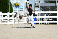 HSM_4446