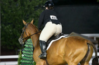 HSM_0599