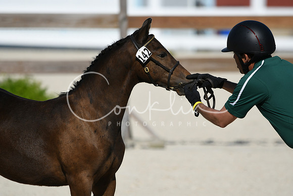 HSM_5261