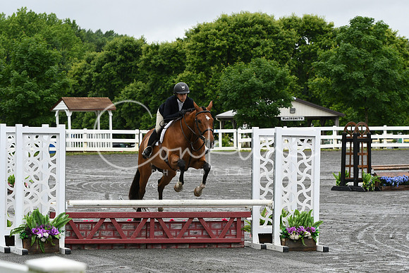 HSM_3517
