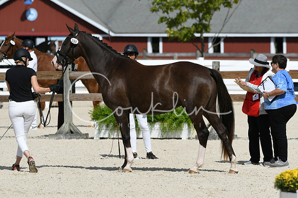 HSM_4866