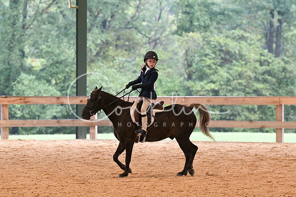 HSM_4201