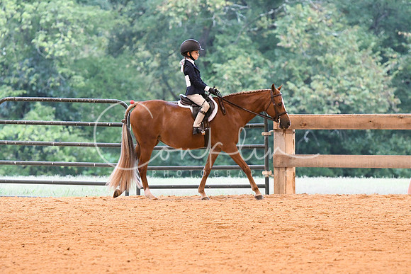 HSM_4143