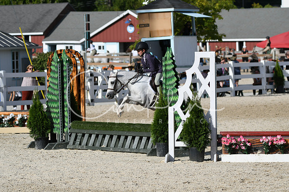 HSM_4194