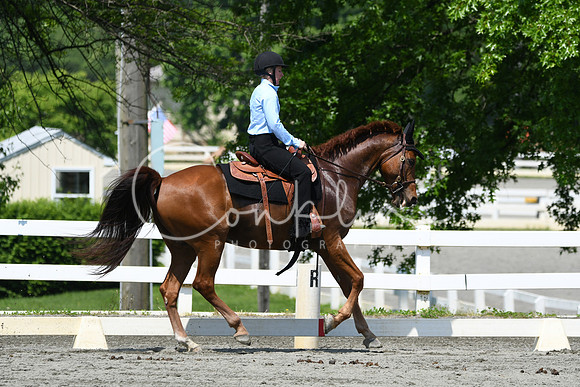 HSM_2858