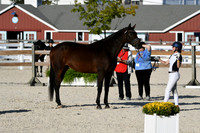 HSM_5430