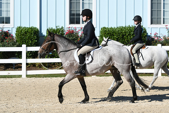 HSM_2258