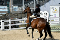 HSM_9553