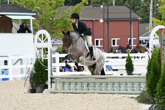HSM_5019