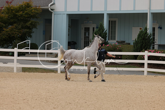 HLK_0669