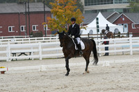 HSM_0494