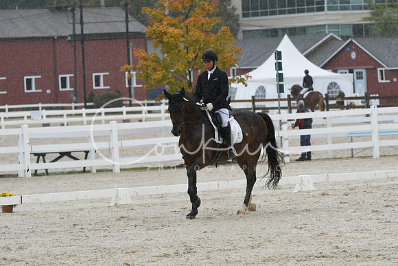 HSM_0494