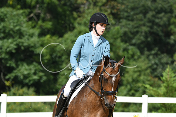 HSM_1153