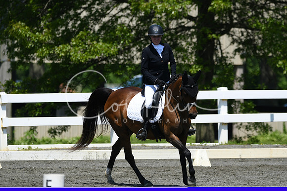 HSM_1411