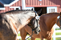 HSM_6222