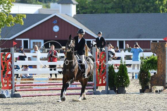 HSM_1307