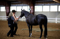 BW181645