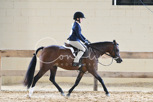 HSM_6253