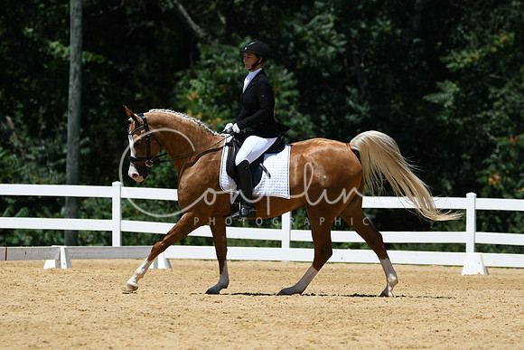 HSM_1392