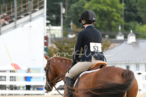 HSM_5311