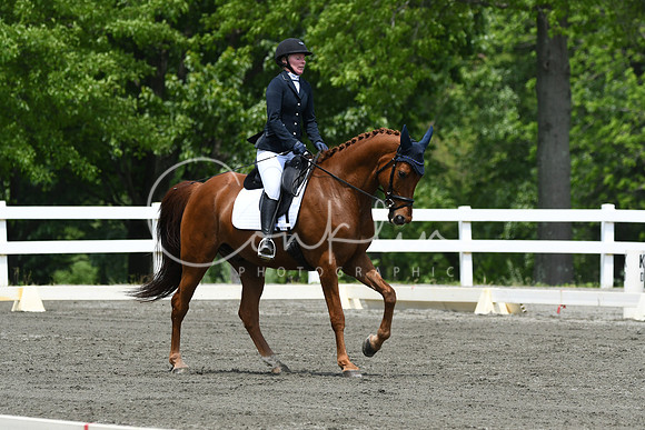 HSM_0276