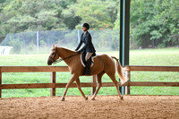 HSM_0811