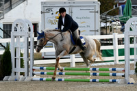 HSM_0950