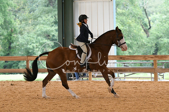 HSM_4959