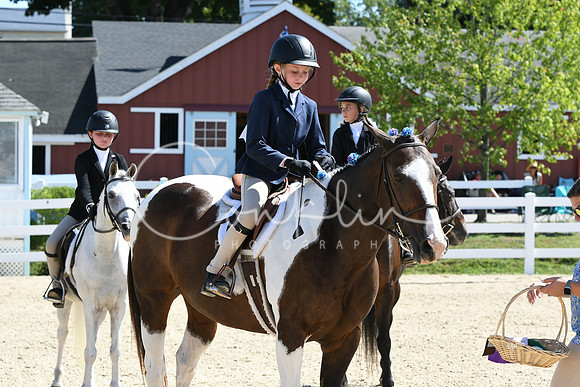 HSM_3362