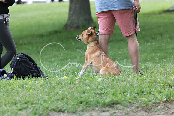 5H2A4046