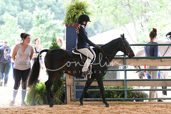 HSM_1361
