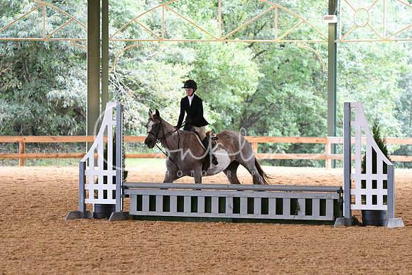 HSM_1203