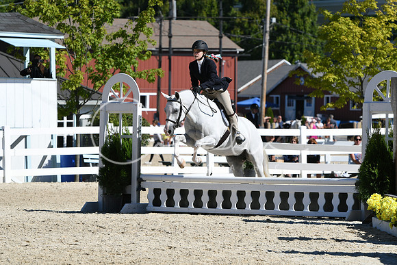 HSM_2618