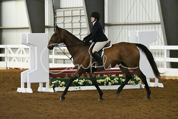 HSM_5331