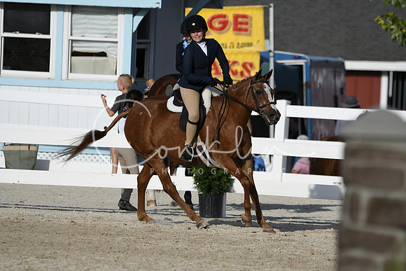 HSM_4366