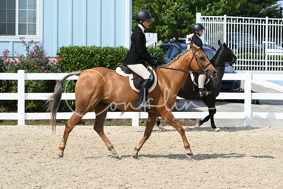 HSM_6388