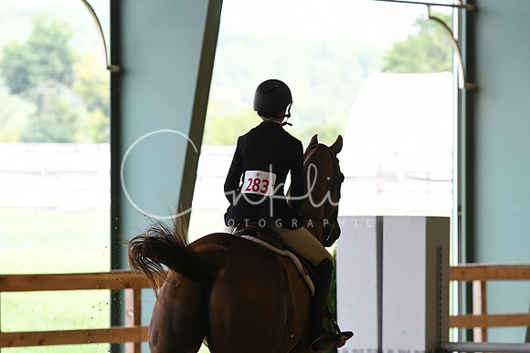 HSM_2884