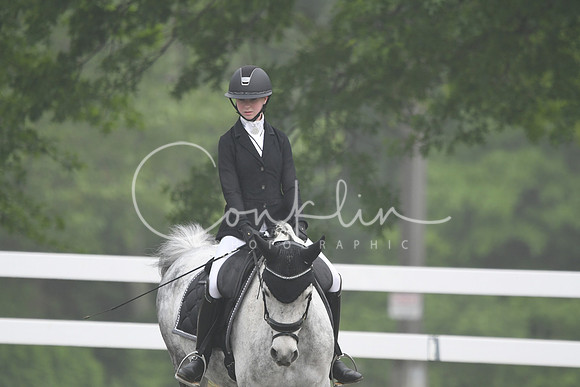 HSM_0862