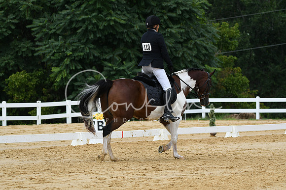 HSM_0469