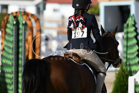 HSM_4377