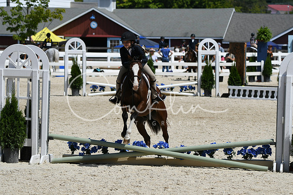 HSM_2958
